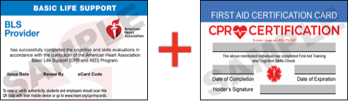 Sample American Heart Association AHA BLS CPR Card Certificaiton and First Aid Certification Card from CPR Certification Chesapeake