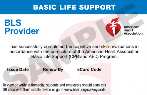 Sample American Heart Association AHA BLS CPR Card Certification from CPR Certification Chesapeake